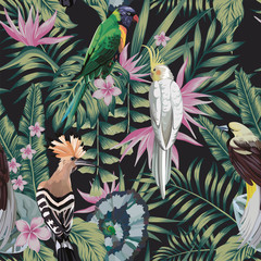 Tropical birds plants leaves flowers abstract color black background © berry2046