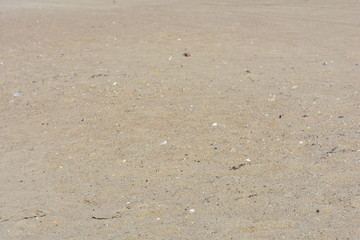 texture of sand