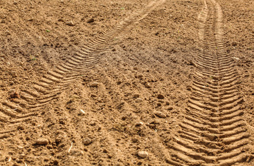 Tractor tire print in dry field, lit by sun.