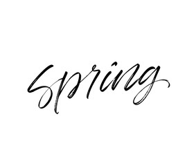 Spring phrase. Vector illustration of handwritten lettering.