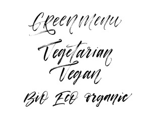 Collection of words: vegetarian, vegan, green menu, bio, eco, organic. Vector hand drawn brush style modern calligraphy.