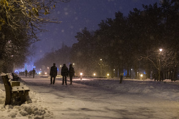 Park alley with falling snow at night.