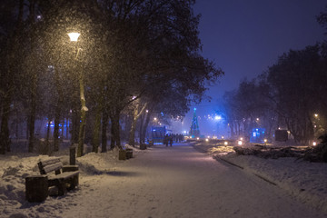 Park alley with falling snow at night.