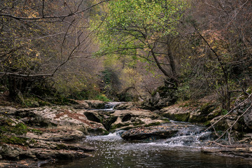 Naklejka na ściany i meble A running river through the rocks of the mountain in autumn.