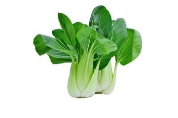 Fresh Bok choy or pak choi on white background.