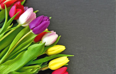 Colorful and a lot  of Tulips on back blackground with Space for writing text