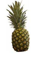 Fototapeta premium Pineapple on white background
