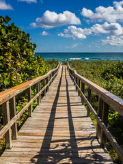 Fototapeta premium The wooden pathway over the dunes to the beach