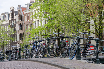Amsterdam © daniy
