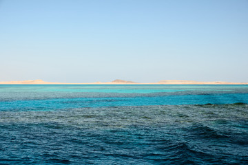 Obraz premium Coral reef in the Red sea near the shore of a sand island.