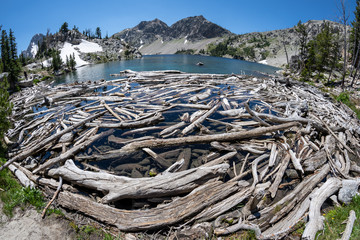 Fototapeta na wymiar Fisheye view of Sawtooth Lake in Idaho with lots of logs and driftwood in foreground
