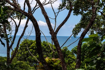 Ubatuba - Santa Rita