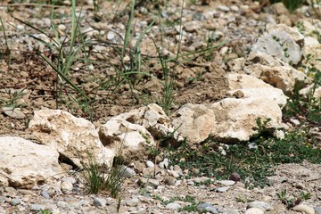 stone, texture, rock, nature, wall, brown, pattern, surface, rough, landscape, granite, abstract, old, mountain, earth, soil, sky, dry, natural, desert, textured, summer, grey, sand, tree
