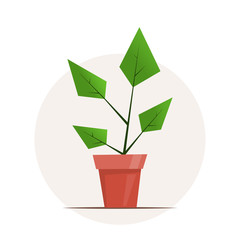 Houseplant in a pot. Cute simple graphic vector illustration in flat style for flower shop design.