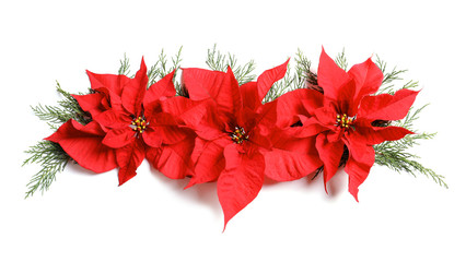 Flat lay composition with poinsettia on white background. Traditional Christmas flower