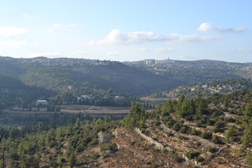 Jerusalem panorama of Ein Kerem landscape and forest, Israel