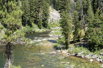 Boundary Creek area of Idaho, a popular spot for starting a rafting trip in the Middle Fork of the Salmon River.