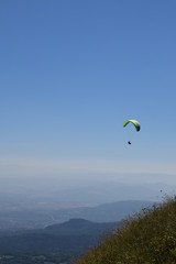 vire-voltige