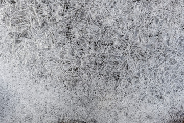 Ice crystal detail in the Little Truckee River, California, USA