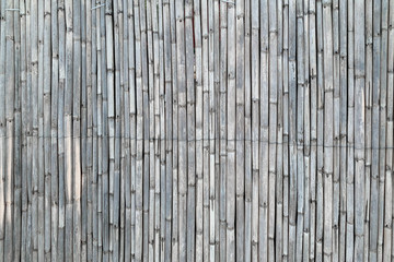 Dry cane fence as a background (texture)