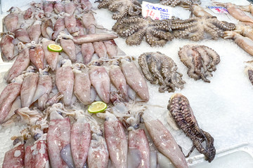 Close up view of squids and octopus