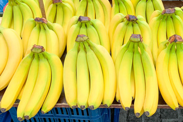 Close up view of bananas in a row