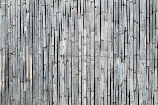 Dry cane fence as a background (texture)