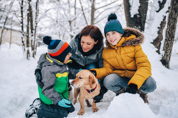 Fototapeta na wymiar Family with dog playing in the snow