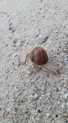 Samotna podróż © Sylwia