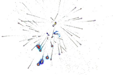 game of shadows. white background. art photo