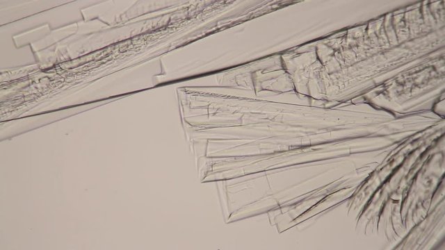 Crystals forming in solution viewed through the microscope