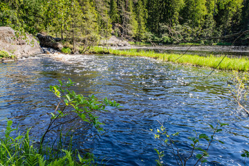 Foamy streams of water Tahmayoki River on the waterfall Ahinkoski