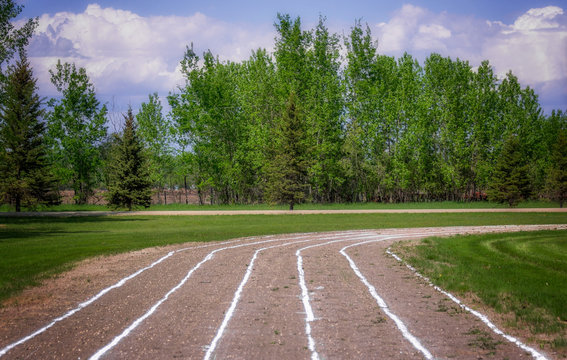 A deserted running track with white chalk lines with a row of tall trees in the background in a summer landscape