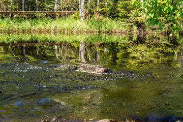 Foamy streams of water Tahmayoki River on the waterfall Ahinkoski