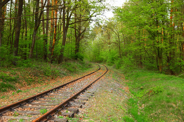 Naklejka premium Old rusty railway track amid green forest.