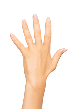 Closeup of hand against white background