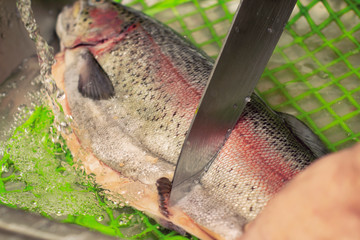 male hands brushing rainbow trout fish with a large knife