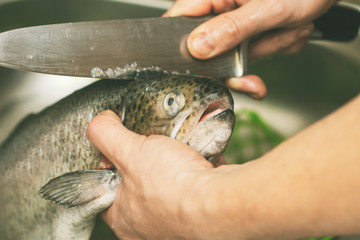 male hands brushing rainbow trout fish with a large knife