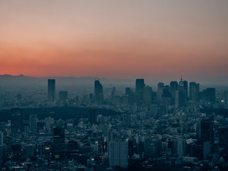 Fototapeta premium Skyline of Tokyo while Sunset