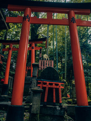 Fushimi Inari Taisha - many torii in Kyoto, Japan