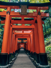 Fushimi Inari Taisha - many torii in Kyoto, Japan