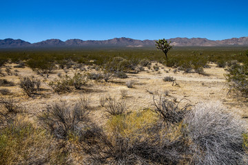 Utah, Nevada, California (USA)