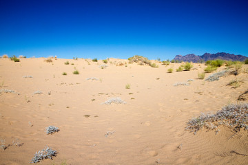 Naklejka premium Utah, Nevada, California (USA)