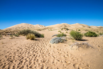 Utah, Nevada, California (USA)