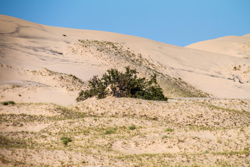 Utah, Nevada, California (USA)