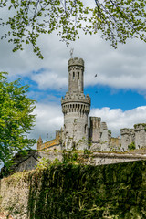 Duckett's Grove Tower