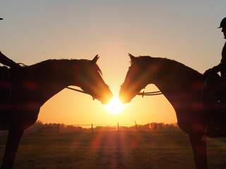 Begr&uuml;&szlig;ung beim Sonnenuntergang