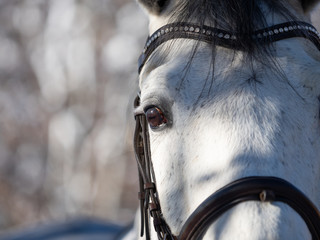 Augenblick im Winter