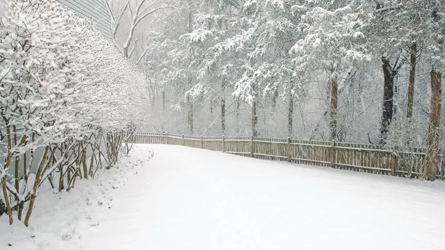 Wooden fence by house or home with lawn covered in white snow in heavy storm with pine trees branches, backyard or front yard garden