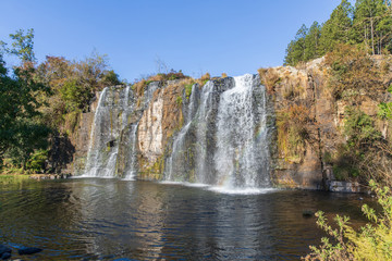 Obraz premium Forest Falls 4